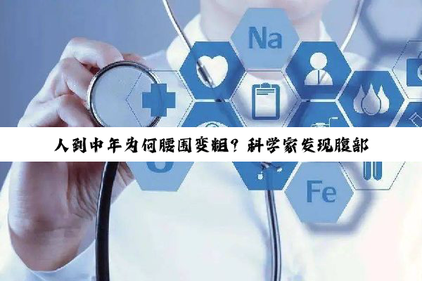人到中年为何腰围变粗？科学家发现腹部脂肪增加的细胞元凶