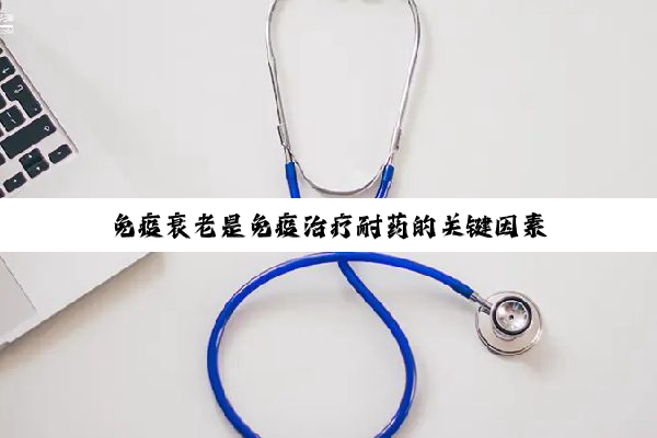 免疫衰老是免疫治疗耐药的关键因素