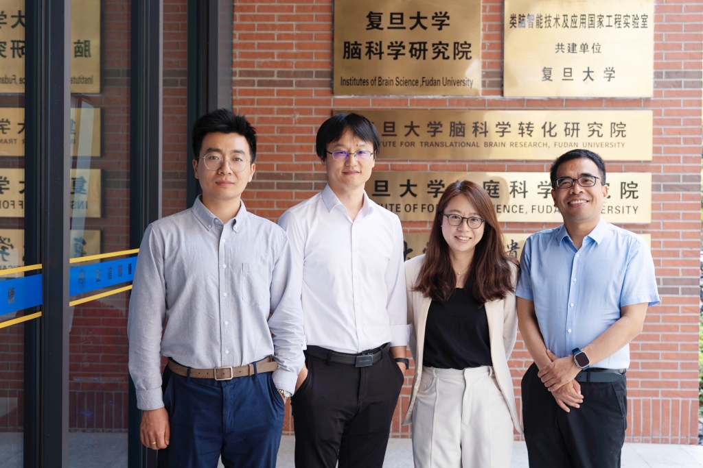 《科学》刊文！复旦科学家通过脑机接口，使失明动物恢复视觉功能